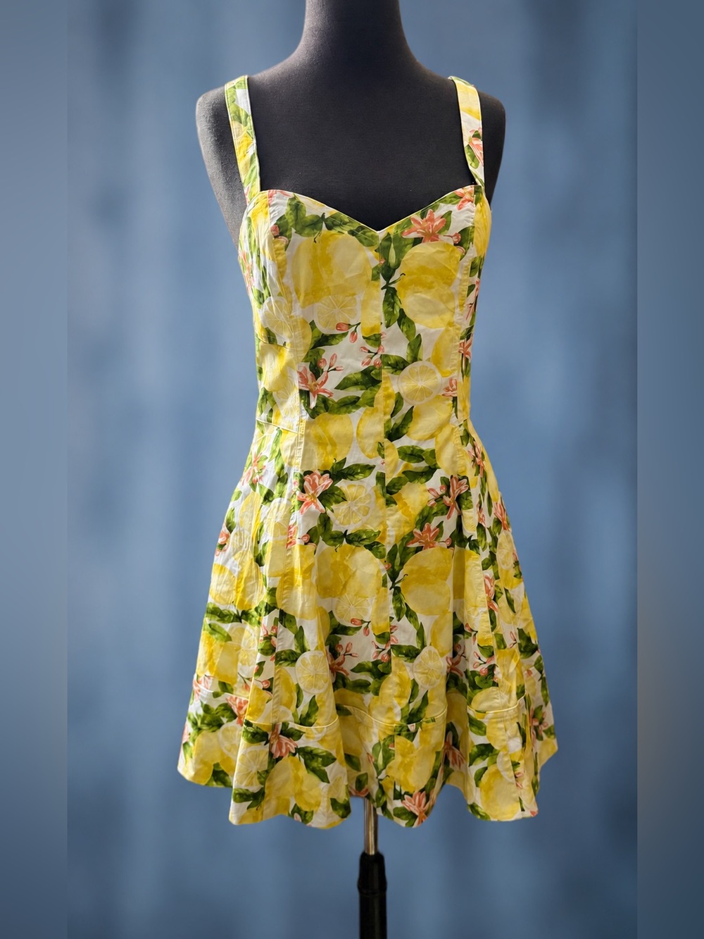 Avec Les Filles Lemon Print Fit & Flare Sundress NWT Size 12 Resort vacation - Picture 2 of 10